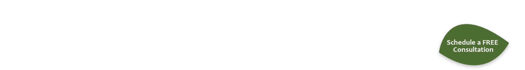 Schedule a FREE Consultation