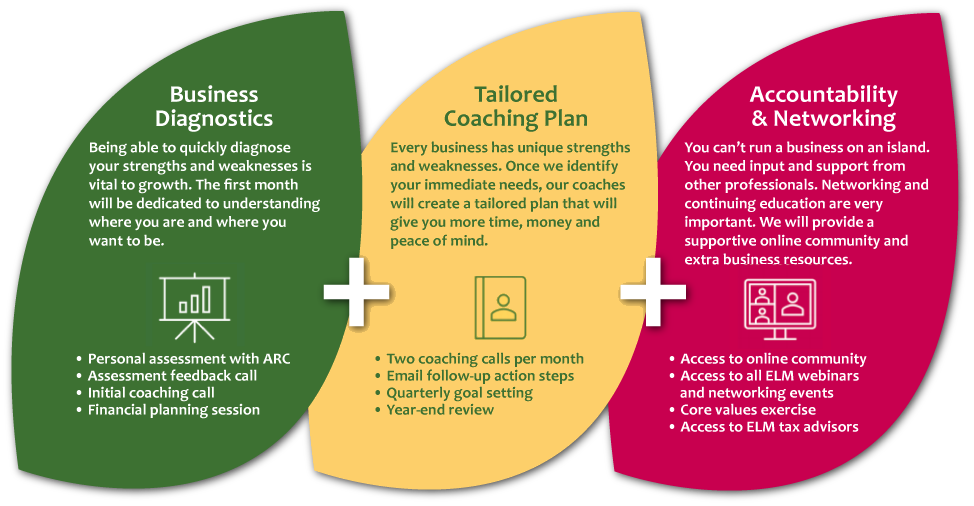 Business Diagnosis - Tailored Coaching Plan - Accountability and Networking